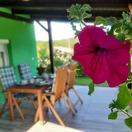 Ruralna Kuca Za Odmor Viktorija Villa Caglin Ngoại thất bức ảnh