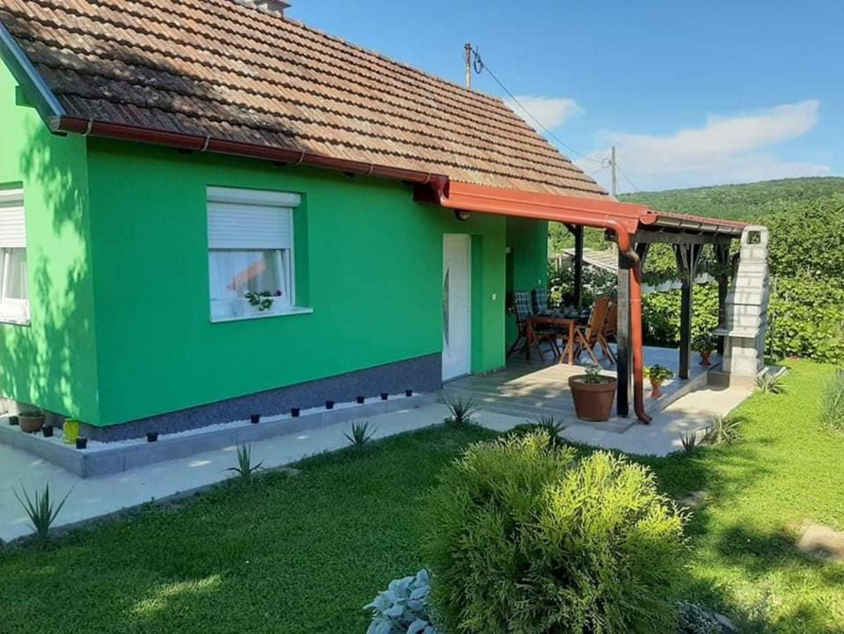 Ruralna Kuca Za Odmor Viktorija Villa Caglin Ngoại thất bức ảnh
