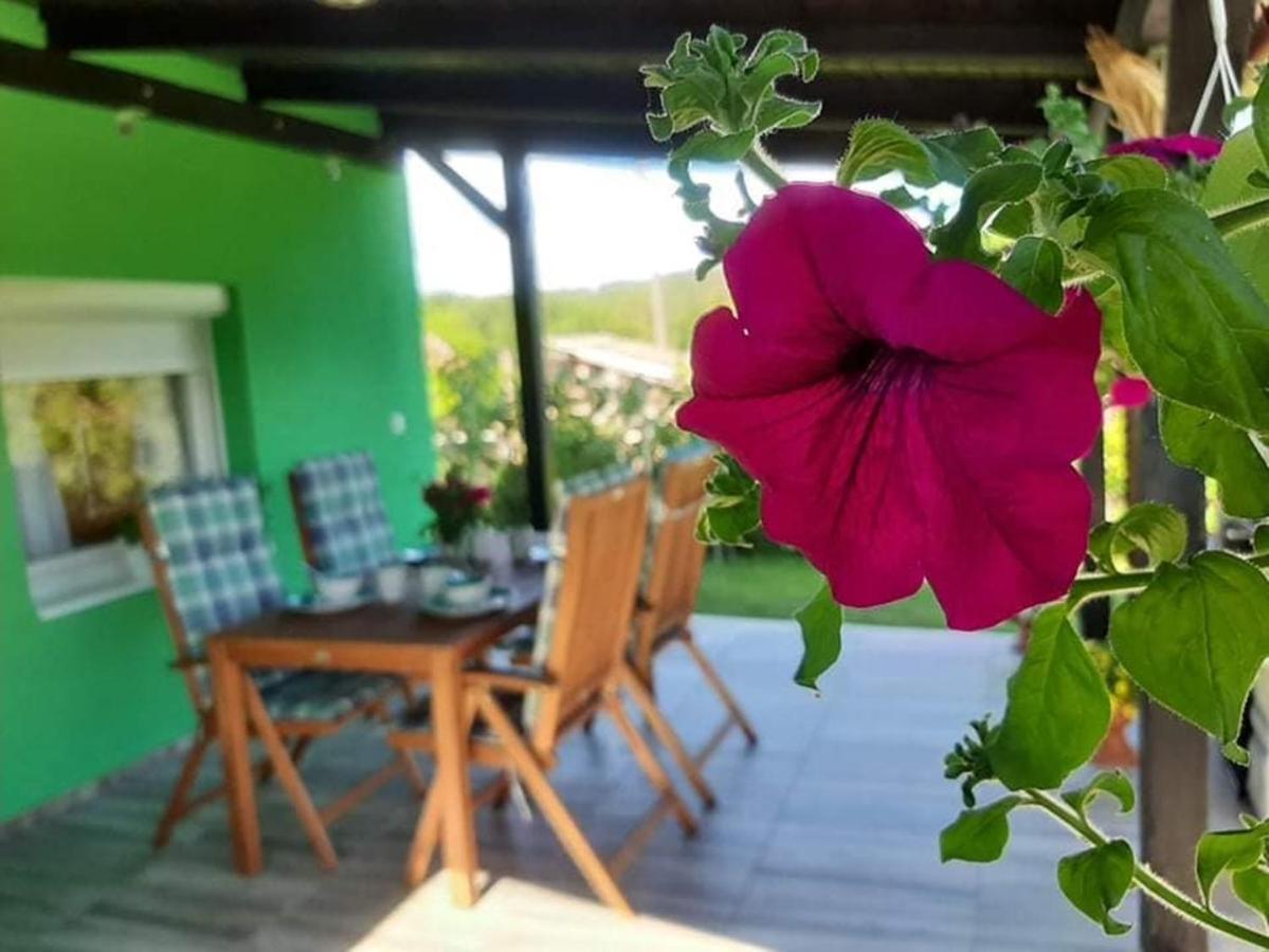Ruralna Kuca Za Odmor Viktorija Villa Caglin Ngoại thất bức ảnh